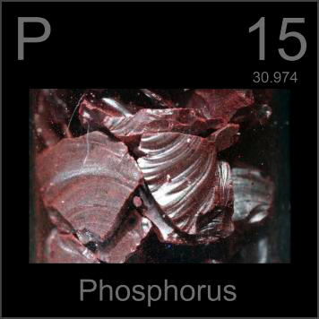 Phosphorus 