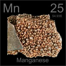 Manganese 