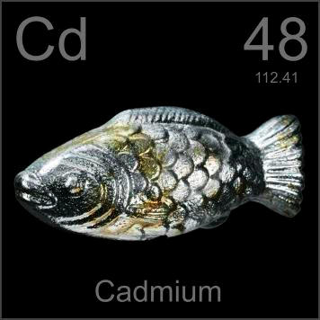 cadmium atom