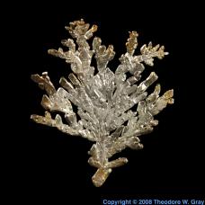 Silver Dendritic crystal