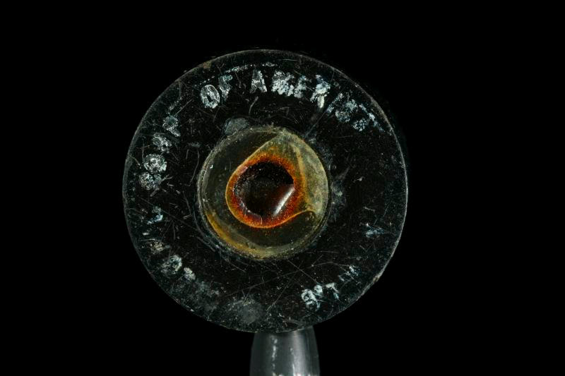 Sample of the element Radium in the Periodic Table